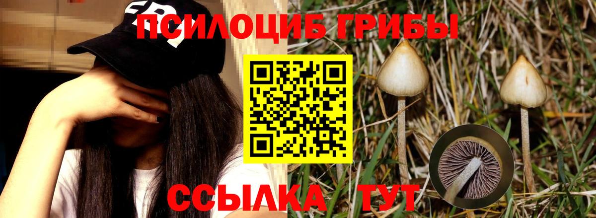 Галлюциногенные грибы прущие грибы Свободный