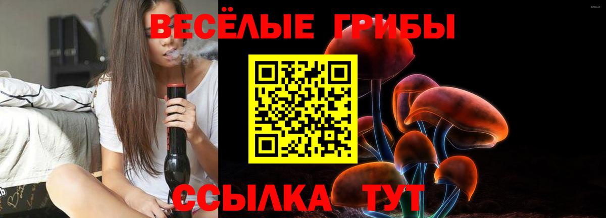 Свободный  Псилоцибиновые грибы GOLDEN TEACHER  Вход с VPN 